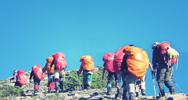 縱行囝仔　陪孩子跨越心裡那座高山