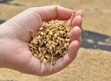 呷米共食嚐美味　菜單跟著時令走