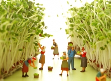 綠藤生機　掀起綠色飲食革命