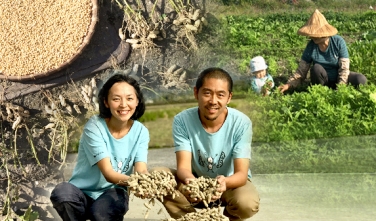 美好生活未必在都市—「美好花生」的最初衷，是不想一年只能見爸媽6次