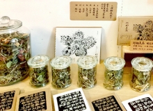 雜草稍慢：立志讓台灣成為世界採集的中心