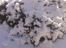冰天雪地下的閒思