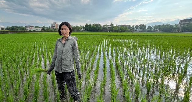 務農時，土地會讓你問自己是誰——專訪慢島生活執行長宋若甄