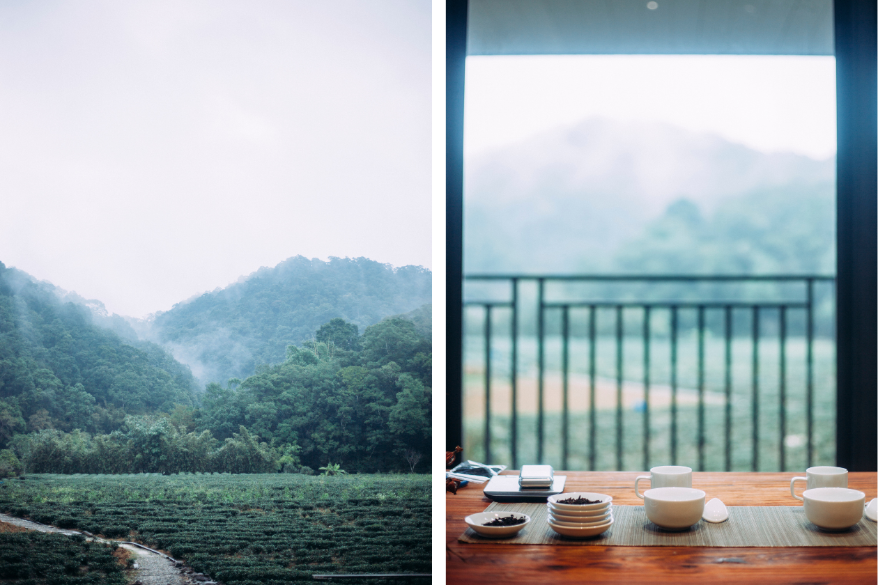 出發坪林，一個看得到滿天銀河的茶鄉小鎮