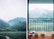 出發坪林，一個看得到滿天銀河的茶鄉小鎮