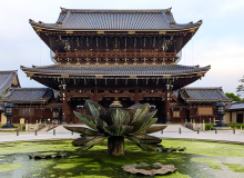 東本願寺之「毛綱傳奇」