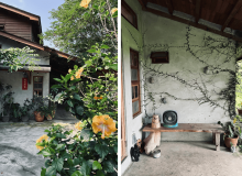 重塑家的呼吸，取之自然的老屋美學——台東貓頭鷹莊園