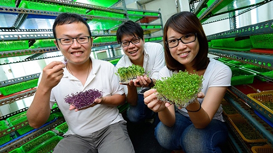 綠藤生機　掀起綠色飲食革命