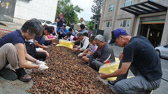 苦茶油PK檳榔園　口腔健康現陽光