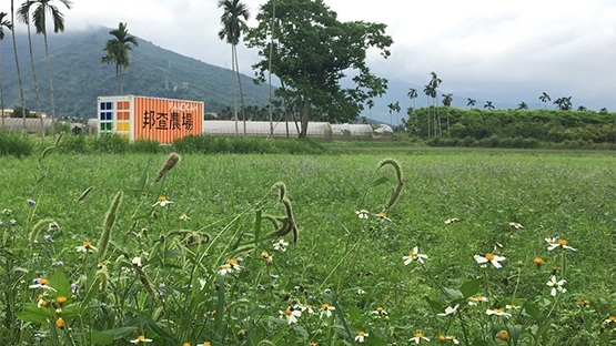 野菜出食譜　野味濃姊妹情更濃