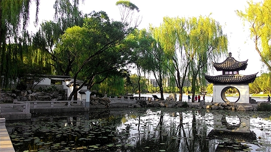 靈魂直見，沒有界線—雙城愛與死