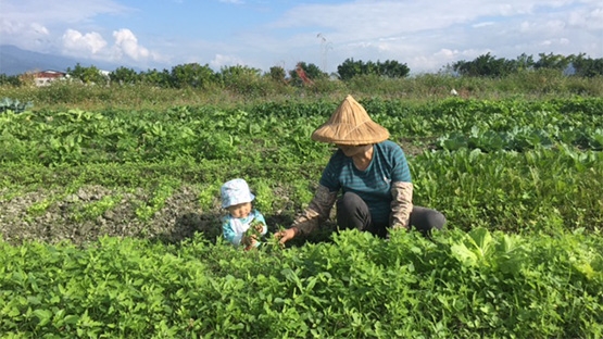 美好生活未必在都市—「美好花生」的最初衷，是不想一年只能見爸媽6次