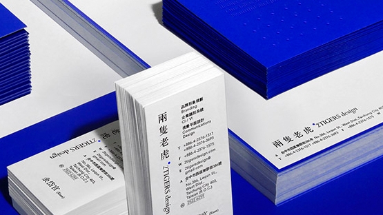 塑膠藍玩出設計感，以誠實包裝台灣味：兩隻老虎設計