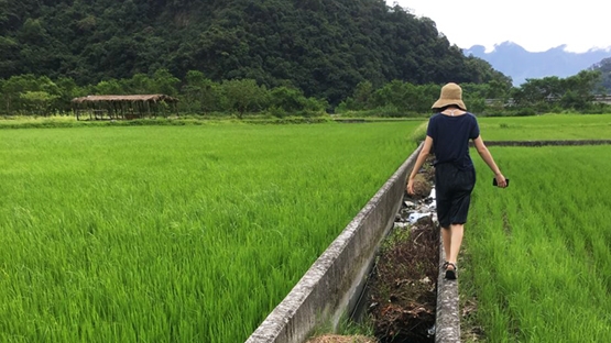 與不同的信仰《一起走》：荒謬可愛的地方創生失敗日誌