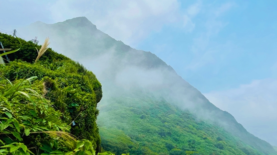 跟著山城美館打開後疫情時代的五感旅行