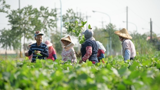 專訪「幸福良食」共同創辦人吳詩涵： 環遊世界、嫁到農村，是我做過最勇敢的兩件事