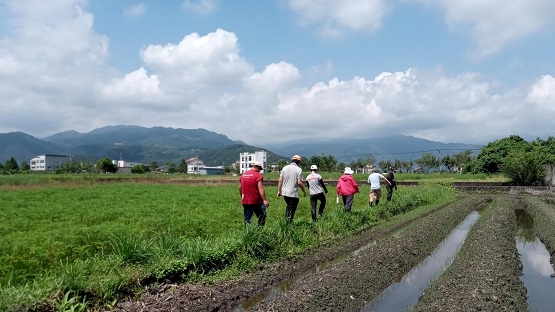 務農時，土地會讓你問自己是誰——專訪慢島生活執行長宋若甄