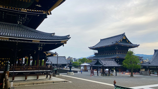 東本願寺之「毛綱傳奇」