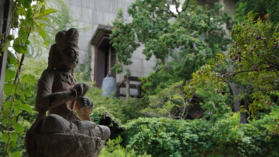 體悟佛法就是生活，歡迎來到菩薩寺——專訪葉本殊