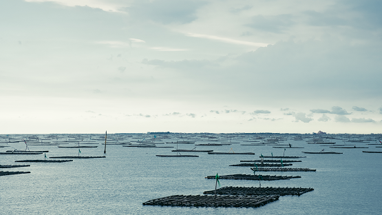 布袋，濱海漁村的生活百景