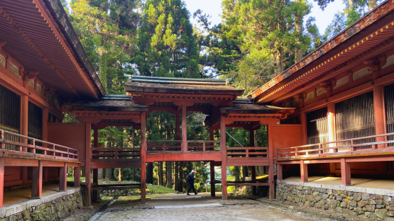 撲朔迷離，比叡山延曆寺